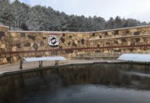 Pamfilya’da Kültürel Çeşitliliğin Doğuşu